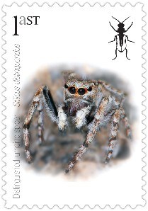 Buglife made their own alternative stamps showing species threatened by the Royal Mail development